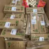 Assorted Garden Products Retail