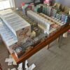 Pokémon TCG Wholesale Pallets – Mixed Pokémon Cards for Resellers in the USA