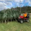300-Piece Seasonal Pallet of Artificial Christmas Trees & Lights