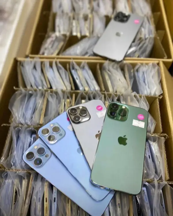 iPhone 13 Pro Max